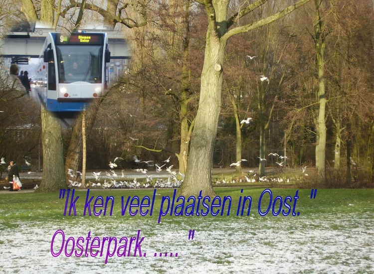 116 woon niet in oost 116 woon niet in oost Oosterpark & tram 9 op de Linnaeusstraat (Fotocollage: Rizzoli, 2005) 